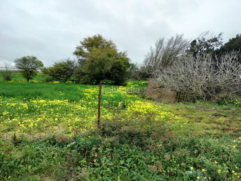 Foto da05c54f-1e7b-4a31-bc23-30ce32bc4871. Finca rústica a Pelagatos - Pago del Humo Chiclana de la Frontera