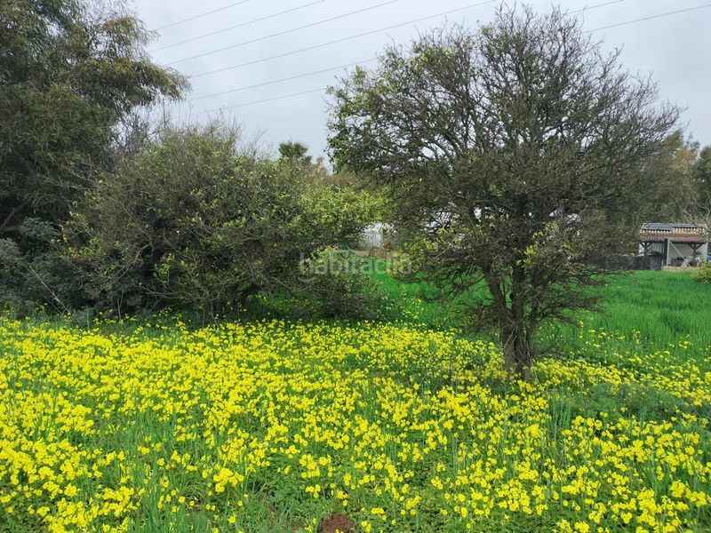Foto e00d66b3-1f32-4e1d-9650-035a1ac8e361. Finca rústica a Pelagatos - Pago del Humo Chiclana de la Frontera