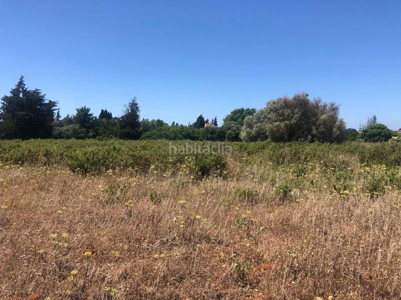 Foto 3835dfbf-ca40-4574-9900-213ddc3d3e7c. Fondo rustico in Conil Conil de la Frontera