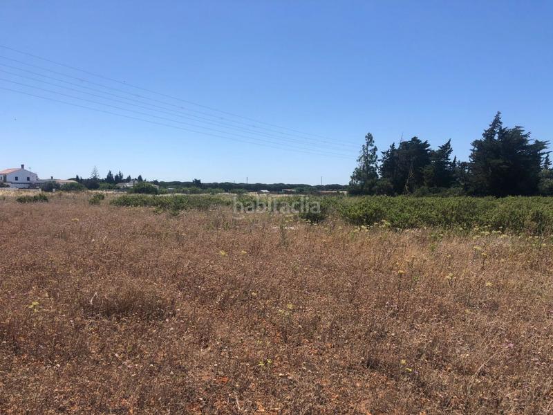 Foto 69497f6d-319d-4bd0-b626-bc0a32f90de3. Fondo rustico in Conil Conil de la Frontera