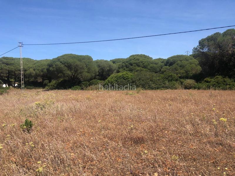 Foto 897f2705-513e-4ab4-9ccb-6fa3317bf2c7. Fondo rustico in Conil Conil de la Frontera