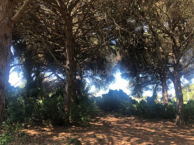 Foto d5626bcc-4051-4460-b752-feab1f7766d8. Fondo rustico in Conil Conil de la Frontera