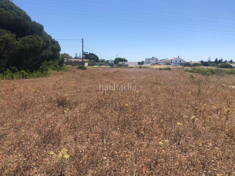 Foto e03c7e17-3379-4892-b0a8-e08f85b5296a. Fondo rustico in Conil Conil de la Frontera