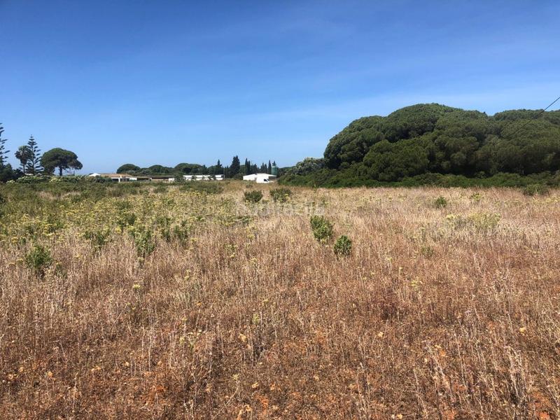 Foto f375d0a6-b87d-4ba8-87ca-64c32a07c002. Fondo rustico in Conil Conil de la Frontera