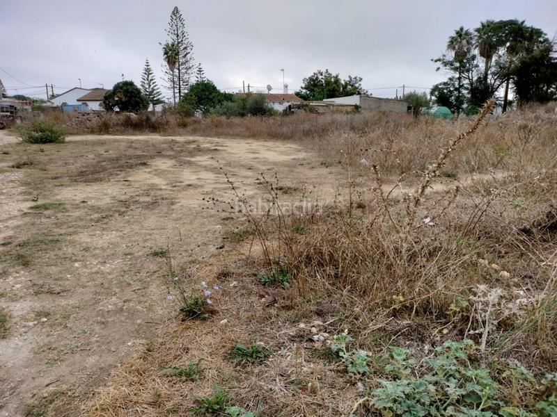 Foto 8e8b538c-4e4c-4b7f-97ad-6b4cdef1b57a. Fondo rustico in Barrio Nuevo Conil de la Frontera