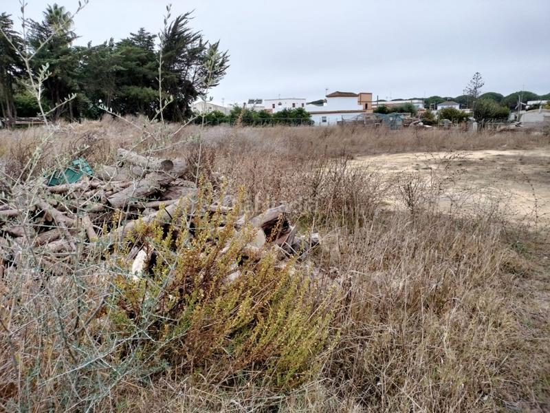 Foto 9a8919fd-f6b9-4932-b76a-278559970b1f. Fondo rustico in Barrio Nuevo Conil de la Frontera