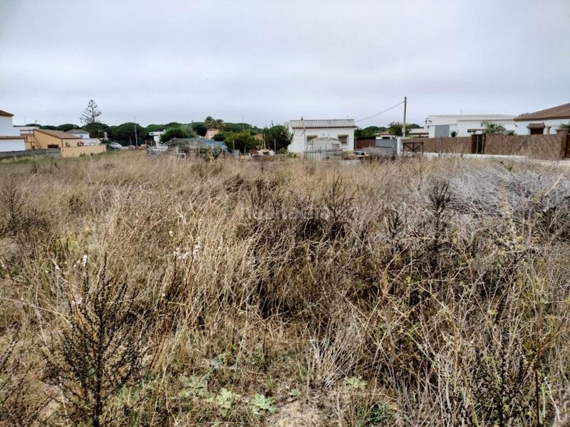 Foto c88ddf76-d9c5-4b60-a910-bf79057e738e. Fondo rustico in Barrio Nuevo Conil de la Frontera