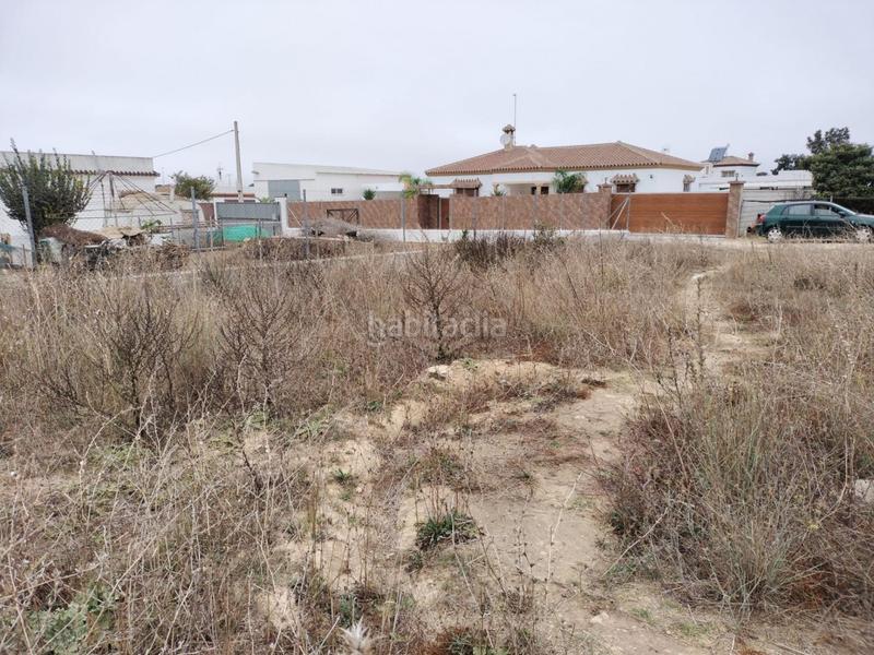 Foto cda4cd42-9870-4481-a5df-39d0ea178a64. Fondo rustico in Barrio Nuevo Conil de la Frontera