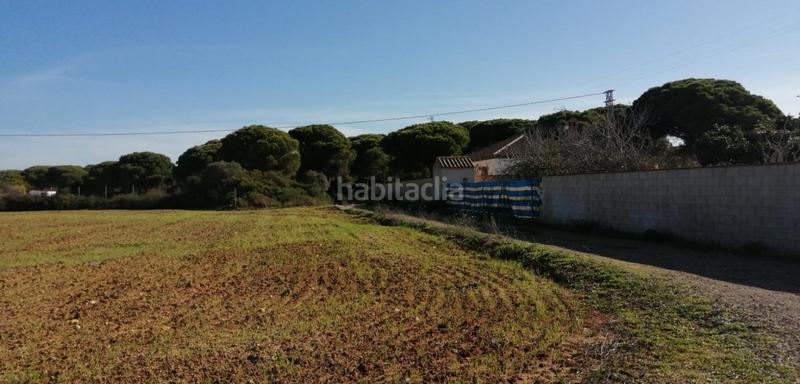 Foto 2a22772b-9241-4472-9ea8-27c8ddcc5763. Fondo rustico in Roche Conil de la Frontera