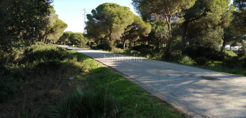 Foto 41ead6c5-40d2-4f71-a2df-f92e83a689bb. Fondo rustico in Roche Conil de la Frontera