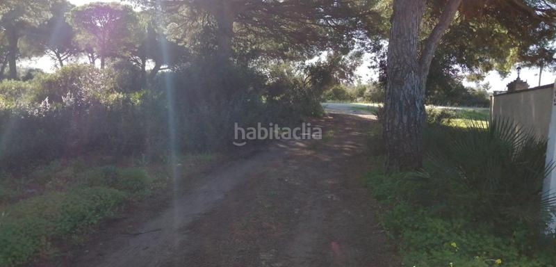 Foto 66256170-31f7-4f86-900b-324c641ef4c2. Fondo rustico in Roche Conil de la Frontera