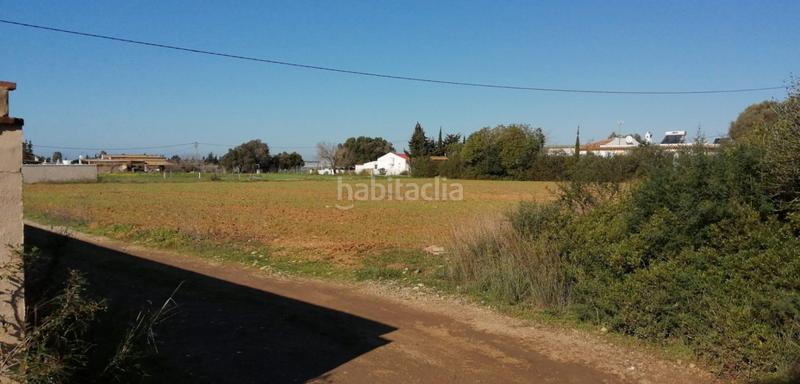 Foto 9c2c099d-d7f5-454c-8fef-44b3e77c3551. Fondo rustico in Roche Conil de la Frontera