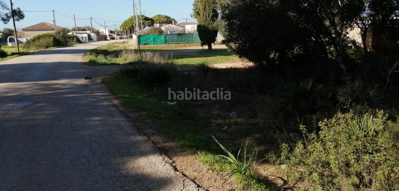 Foto bdfbffc2-897a-4fdb-9638-c549cd72ce58. Fondo rustico in Roche Conil de la Frontera