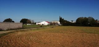 Finca rústica a Roche. Bonita parcela en conil.