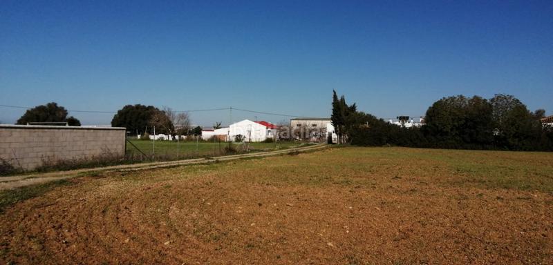 Foto c5f4466e-9bed-4373-bd12-720670da35bc. Fondo rustico in Roche Conil de la Frontera