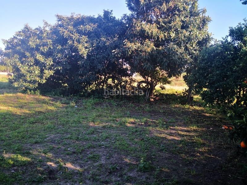 Foto 09853cf8-de6d-45ee-8272-3477b5295fbd. Finca rústica a Barbate Barbate