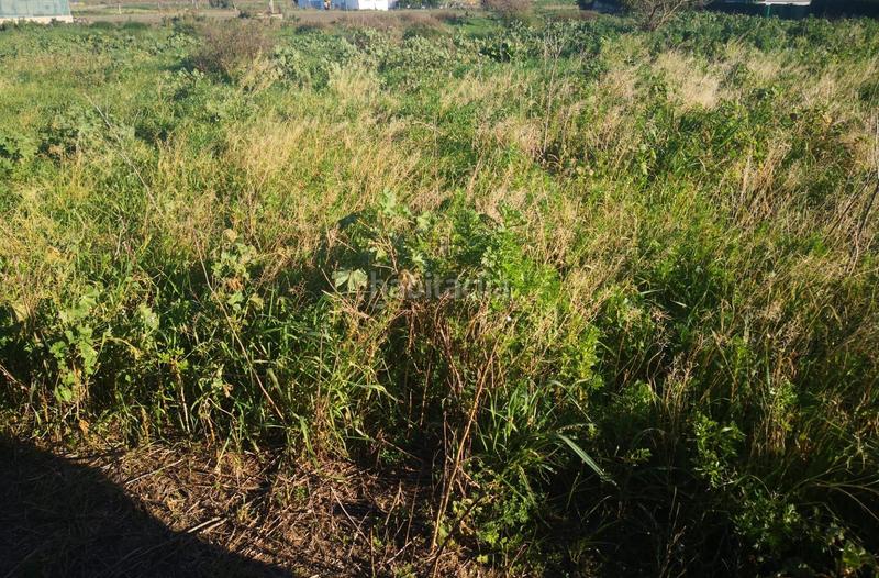 Foto 60bb6e7b-16fb-4038-a3c1-52d30f1db404. Finca rústica a Barbate Barbate