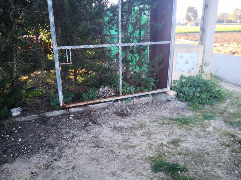 Foto d9b576a8-e59e-4e08-922b-c9ddd95a177b. Finca rústica a Barbate Barbate