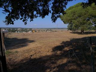 Finca rústica a Barbate. Excepcional parcela rústica en barbate camino  de  los treinta p