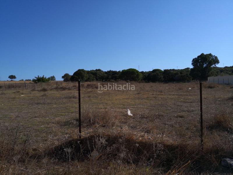 Foto 463bbdf1-efb4-4d2e-b5a2-2524cfef63c3. Fondo rustico in Barbate Barbate