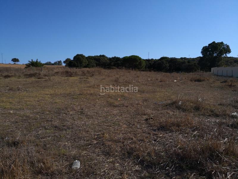 Foto 4758a6c7-fedb-4433-abb8-4985ed2d265e. Fondo rustico in Barbate Barbate