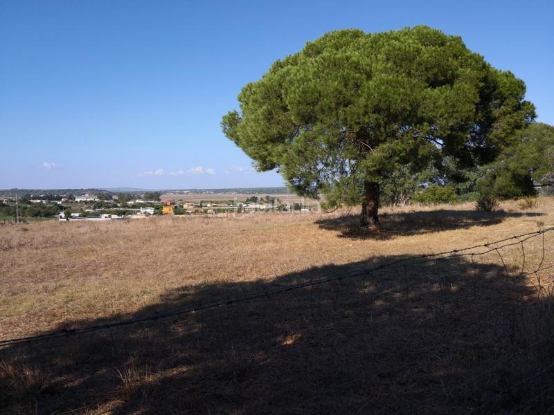 Foto 617fcffd-e242-4157-a9a8-9c7e1b5a435a. Fondo rustico in Barbate Barbate