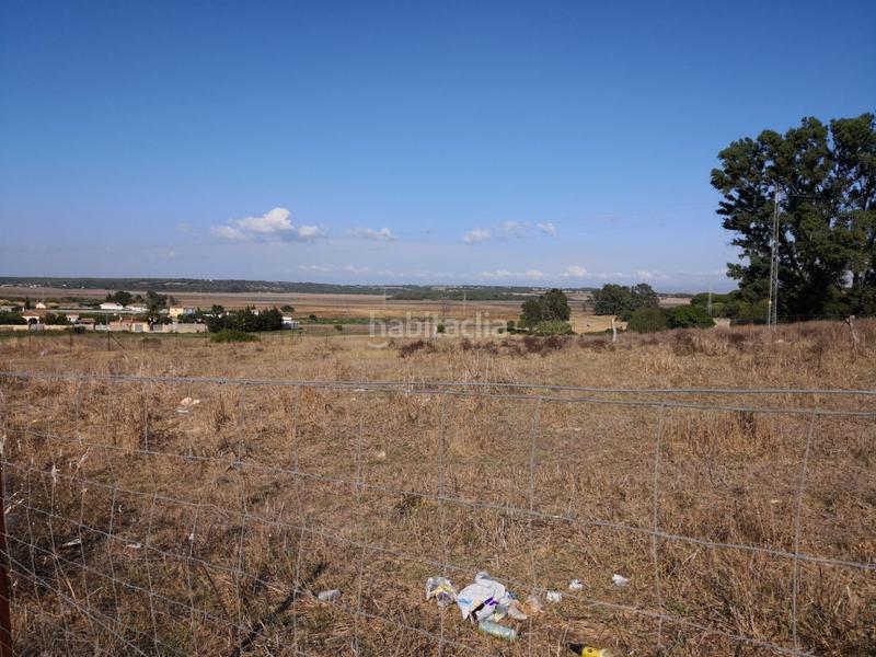 Foto 9102be4d-d916-4bbd-8634-060ec2922d2a. Fondo rustico in Barbate Barbate