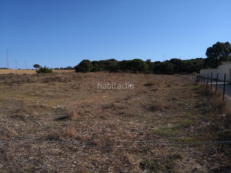 Foto b0792ab6-f001-43d7-ba0b-d51de368784d. Fondo rustico in Barbate Barbate