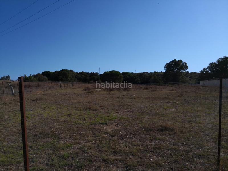 Foto d5763b5f-d5b1-4d0b-8f30-4d7c0eaecf8d. Fondo rustico in Barbate Barbate