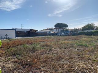 Terreny residencial a El Palmar. Parcela rústica en el palmar
