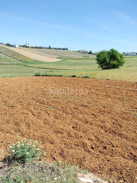 Foto 1b1273d5-7905-4deb-8317-cb9b3c2eb495. Finca rústica a Conil Conil de la Frontera