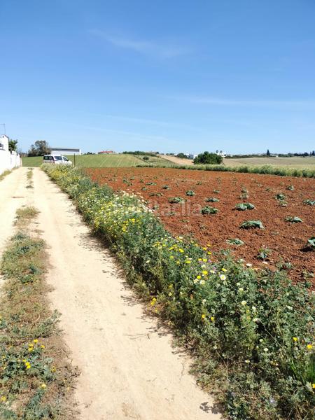 Foto 2612a28b-e8d5-4f8e-8837-744c72f00263. Finca rústica a Conil Conil de la Frontera