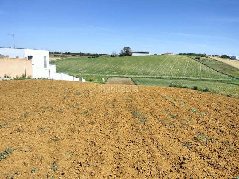 Foto 671f9c1a-00df-4ace-a66e-763615acc2e8. Finca rústica a Conil Conil de la Frontera