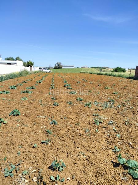Foto 6e72091d-9460-4fa8-8b5d-9ab3637617f1. Finca rústica a Conil Conil de la Frontera