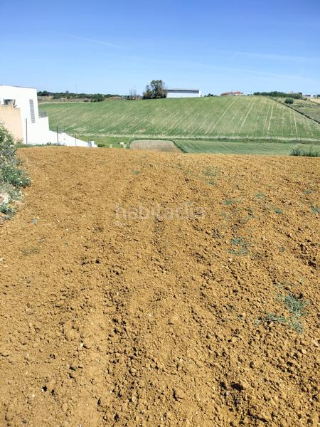 Foto 76db8274-90ba-4598-8971-3b35c8e75264. Finca rústica a Conil Conil de la Frontera