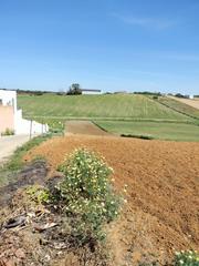 Finca rústica a Conil. Terreno rustico en conil el chaparrillo