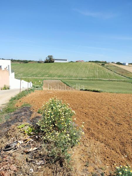 Foto 825f48d6-2404-4061-85e7-b0f6a94fc671. Finca rústica a Conil Conil de la Frontera