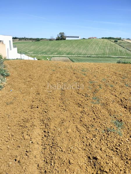 Foto a1782a4a-ce90-460d-a12d-67809d5ce85e. Finca rústica a Conil Conil de la Frontera