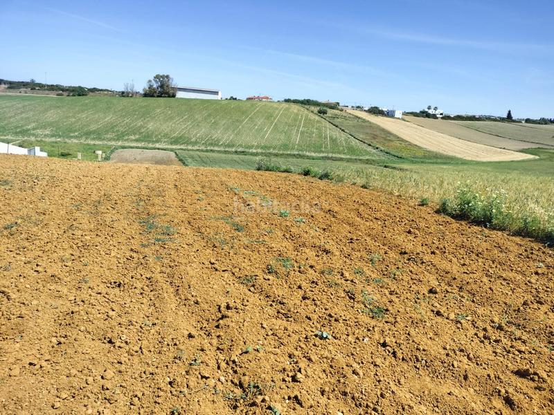 Foto dc529f3e-c995-4784-9900-e6a6aecdaf85. Finca rústica a Conil Conil de la Frontera