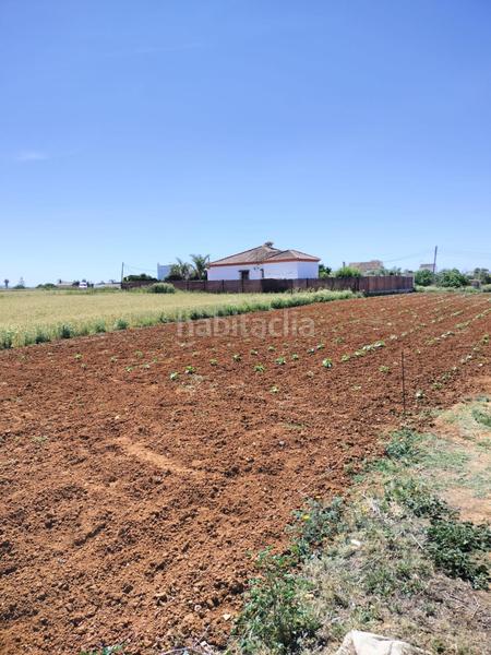 Foto de4daf58-c8fe-4b29-bbc4-4f1a13fdcc41. Finca rústica a Conil Conil de la Frontera