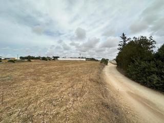 Masia a Conil. Terreno rustico en conilla lobita