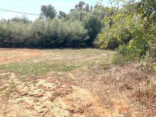 Terreny residencial a La Muela. Parcela en zona de la muela