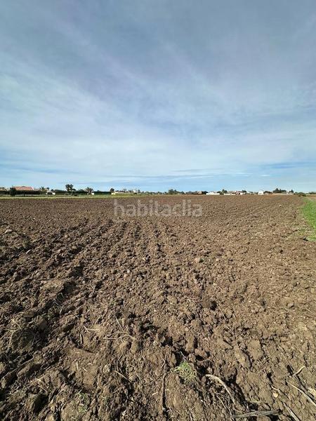 Foto 17ea9b74-c81f-4579-891e-10754eb2c270. Finca rústica gran terreno rustico en El Palmar en Vejer de la Frontera