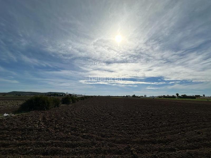Foto 18b630ba-1115-4e9b-b01a-e7d6be23e599. Finca rústica gran terreno rustico en El Palmar en Vejer de la Frontera