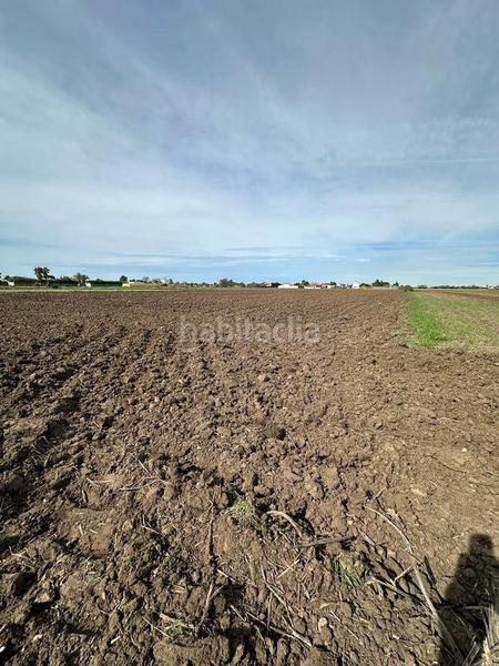 Foto 52a6eb7d-83f5-4333-b2f7-5bb5f9d1a6df. Finca rústica gran terreno rustico en El Palmar en Vejer de la Frontera