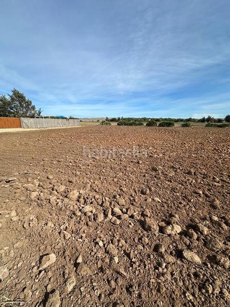 Foto 6b4a9dc4-a008-4ee0-97b3-7518db626391. Finca rústica gran terreno rustico en El Palmar en Vejer de la Frontera