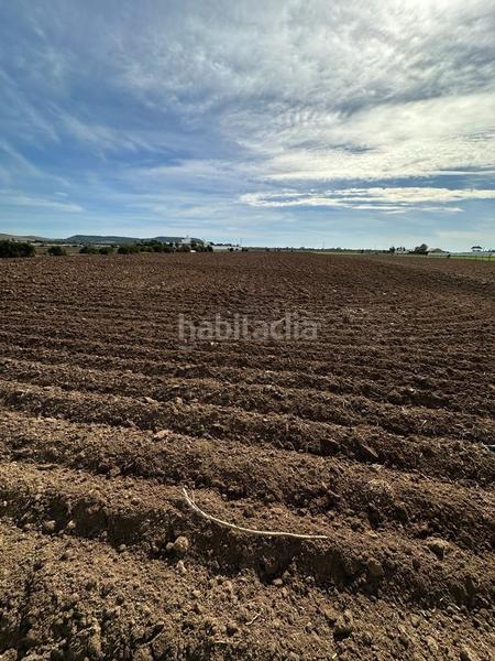 Foto 91933437-97c9-47b6-9edb-b314259f6397. Finca rústica gran terreno rustico en El Palmar en Vejer de la Frontera