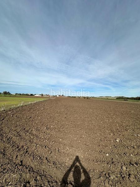 Foto 9a903523-8650-4f45-8474-0862efd0b8b2. Finca rústica gran terreno rustico en El Palmar en Vejer de la Frontera