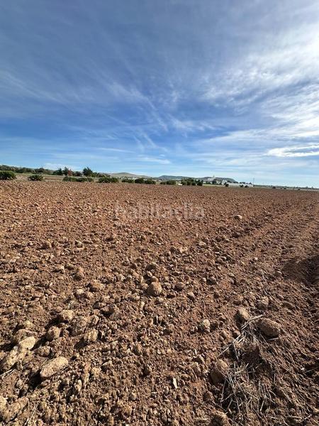 Foto a9449390-12cb-4f96-9c4e-ca8dabcf1fa8. Finca rústica gran terreno rustico en El Palmar en Vejer de la Frontera