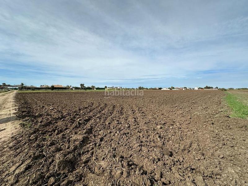 Foto c51093b4-2234-4f06-82aa-6bc32a10b03d. Finca rústica gran terreno rustico en El Palmar en Vejer de la Frontera